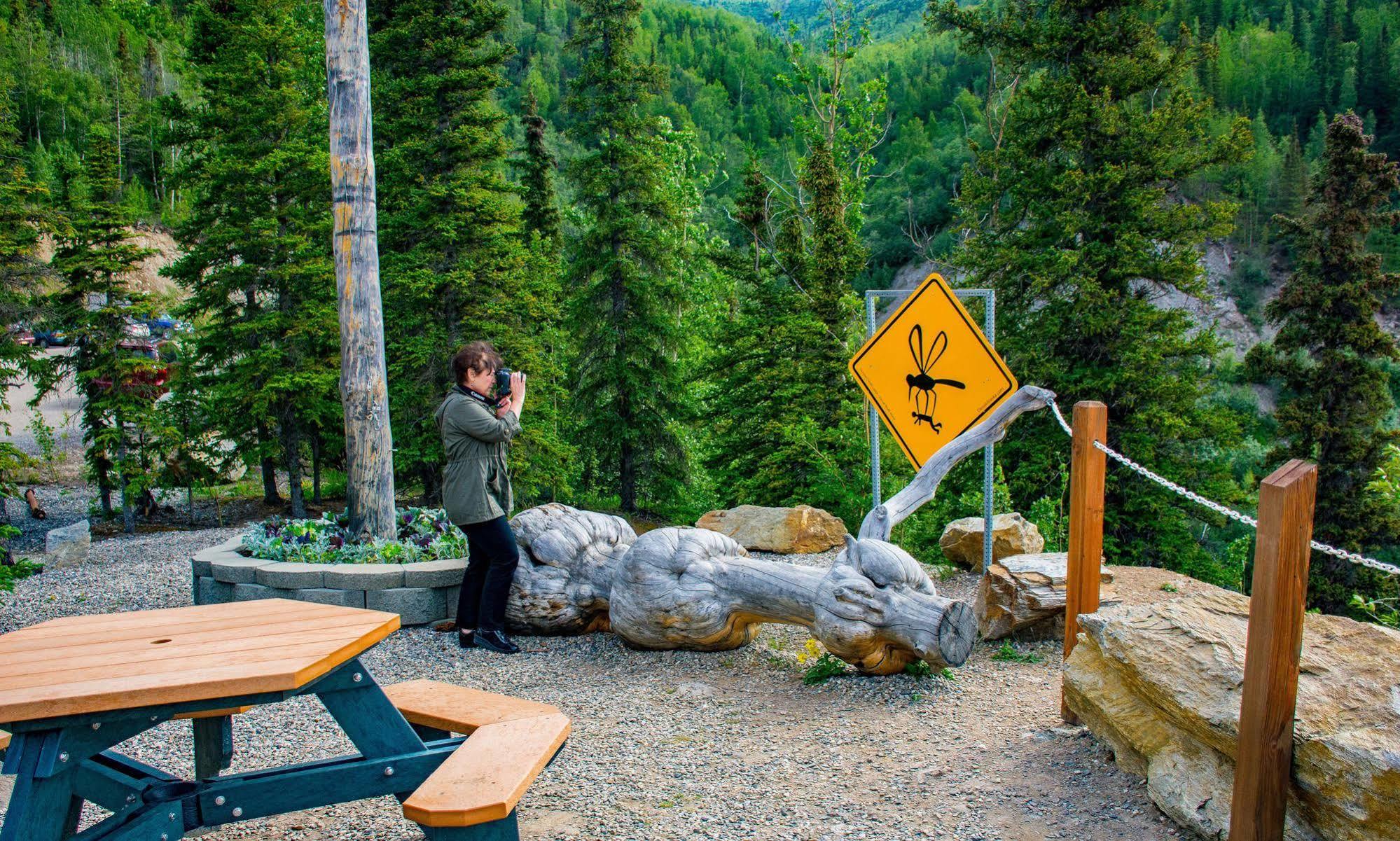 Grande Denali Lodge Denali Park Dış mekan fotoğraf